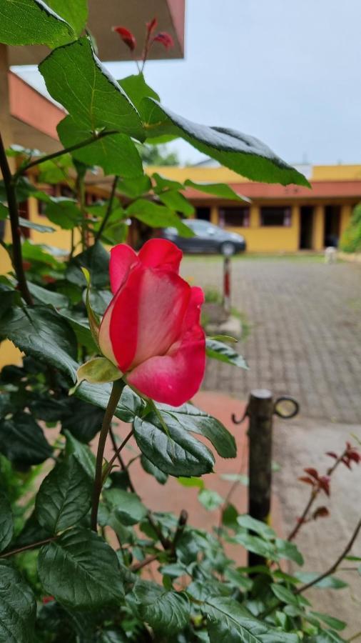Hospedaje Osorno Ngoại thất bức ảnh
